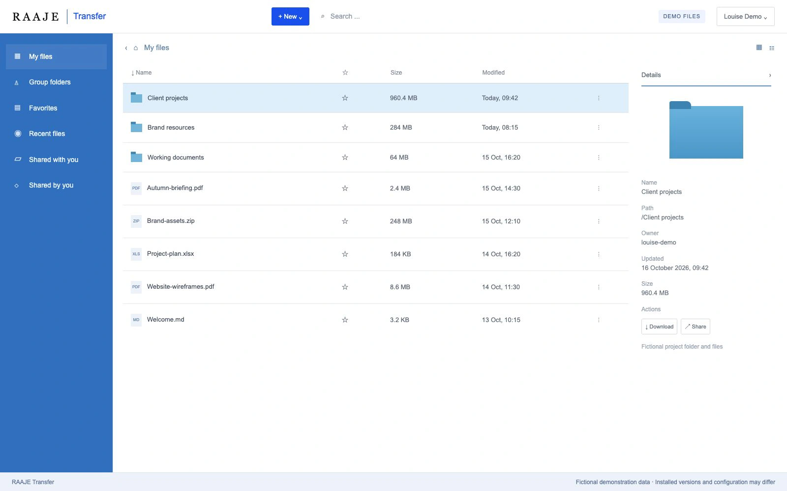 Illustrative RAAJE Transfer interface with fictional demonstration data